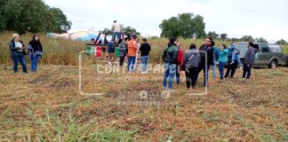 Tres lesionados tras aterrizaje de emergencia de globos aerostáticos en Acolman
