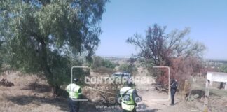 Hallan cuerpo calcinado en paraje de Teotihuacán