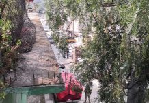 Asesinan a balazos a hombre en colonia Santa María Guadalupe La Quebrada en Cuautitlán Izcalli