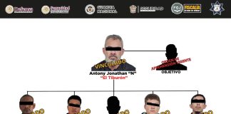 Cae “El Tiburón”, líder de “Los Deltas”, y cinco integrantes en operativo en el Valle de Toluca