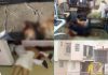 Masacre en Coacalco: Asesinan a cuatro integrantes de una familia y a su mascota dentro de su domicilio