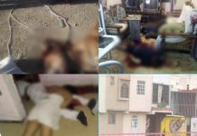 Masacre en Coacalco: Asesinan a cuatro integrantes de una familia y a su mascota dentro de su domicilio