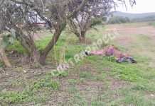 Hallan cuerpo encobijado en paraje de Temascalapa, Edomex