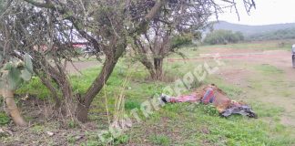 Hallan cuerpo encobijado en paraje de Temascalapa, Edomex