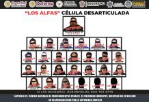 Desarticulan célula criminal “Los Alfas” en el Valle de Toluca; hay 27 detenidos