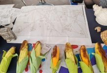 Tezoyuca se alista para la 6ª Feria Internacional del Maíz en Tequisistlán