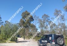 Asesinan a balazos a mujer en camino de terracería en Otumba