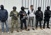 Caen en Otumba presunto feminicida y extorsionador tras operativo de fuerzas federales