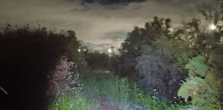 Hallan cadáver flotando junto a Parque Ecológico Lago de Texcoco