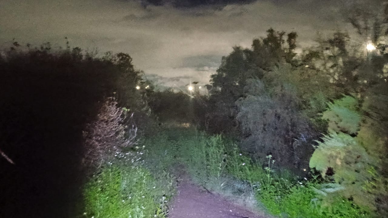 a26460a2-531a-42ea-bb30-545bbff7639e