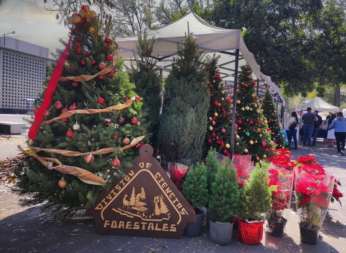 c17a0817-0a83-40bc-80b4-b37e683e6c7d