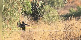 Hallan restos humanos de una menor en Texcoco; perro llevaba bolsa