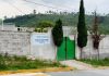 Semarnat desmiente que tigre Kenzo escapara de una instalación federal en Tepetlaoxtoc