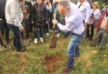 Jesús Cuanalo se suma a Jornada Nacional de Reforestación en Texcoco