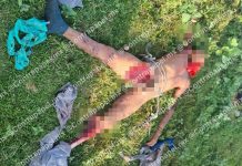 Hallan muerto a hombre tras presunto ataque de jauría de perros en Neza