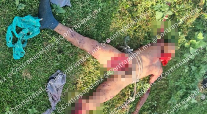 Hallan muerto a hombre tras presunto ataque de jauría de perros en Neza