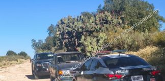 Hallan a hombre sin vida y con disparo en la cabeza en nopalera de Axapusco